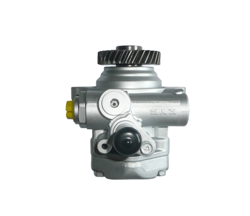 POMPA WSPOMAGANIA RENAULT MASCOTT MASTER MAXI 3.0D DXi ZD3 wer1